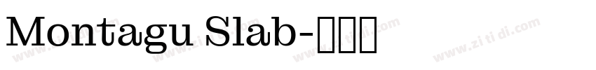 Montagu Slab字体转换